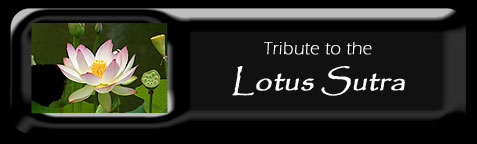 a tribute to the Lotus Surtra